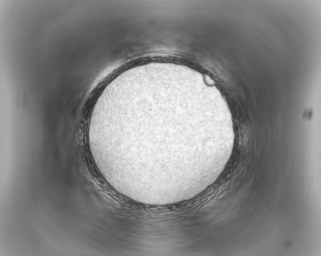 X0000093591208200711051131