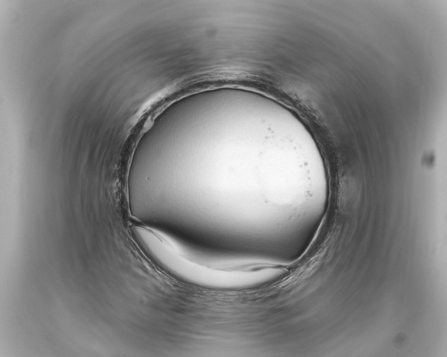 X0000093591210200711051131