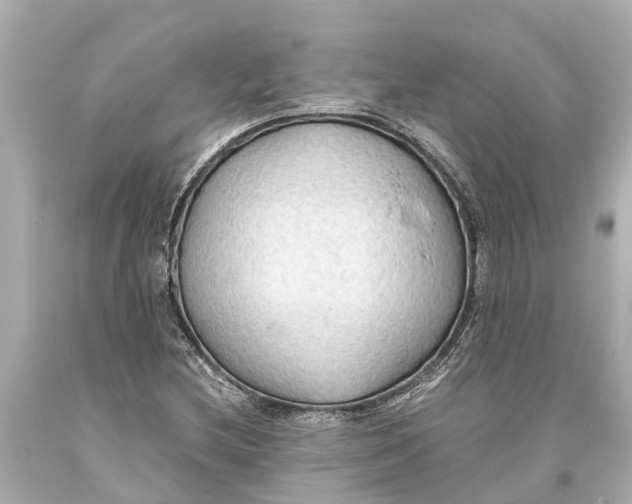 X0000093591212200711051131