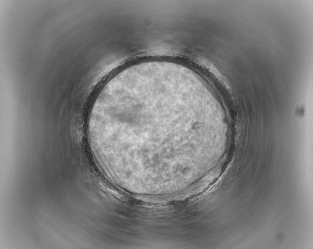 X0000093591213200711051131