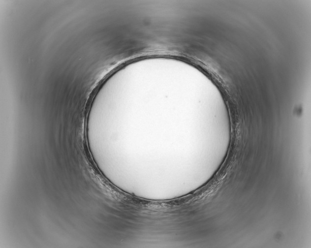 X0000093591220200711051131