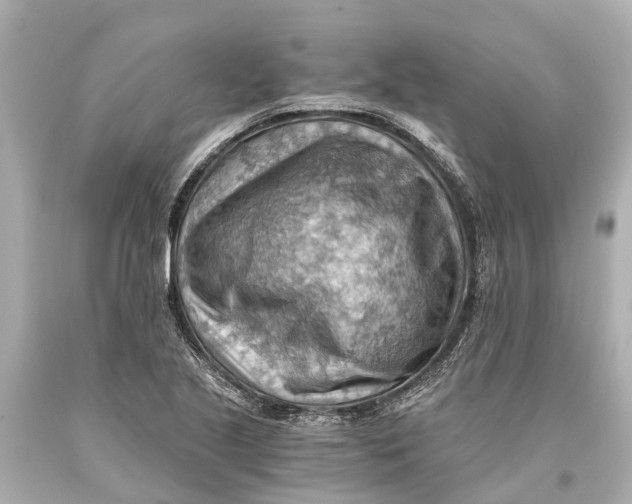 X0000093591221200711051131