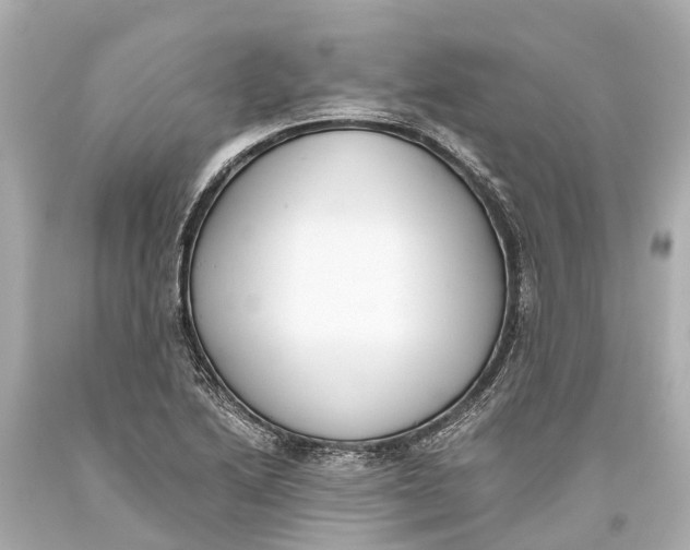 X0000093591222200711051131