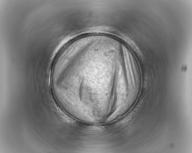 X0000093591224200711051131