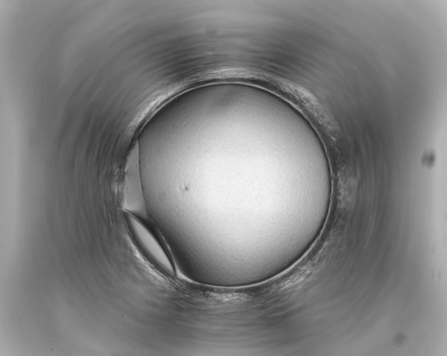X0000093591225200711051131