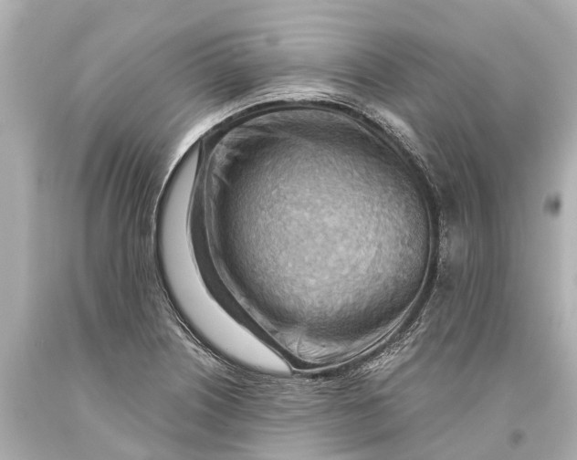 X0000093591226200711051131