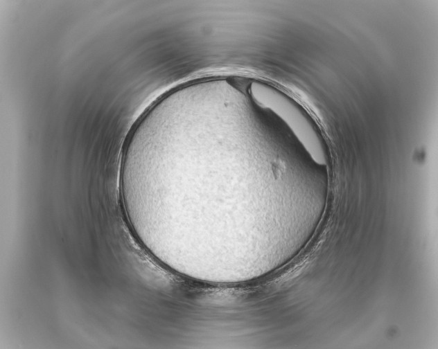 X0000093591228200711051131