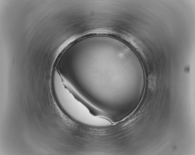 X0000093591229200711051131