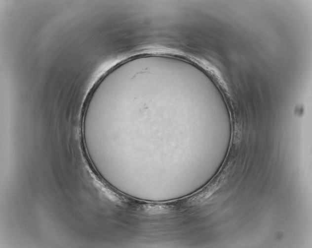 X0000093591231200711051131