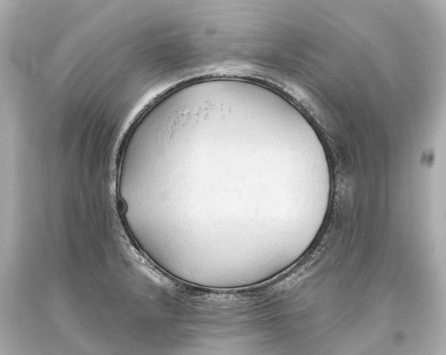 X0000093591232200711051131