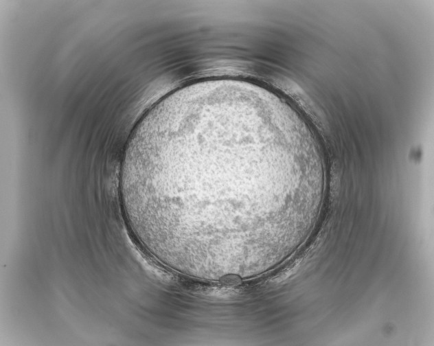 X0000093591233200711051131