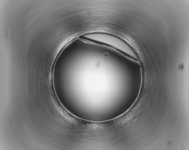 X0000093591234200711051131