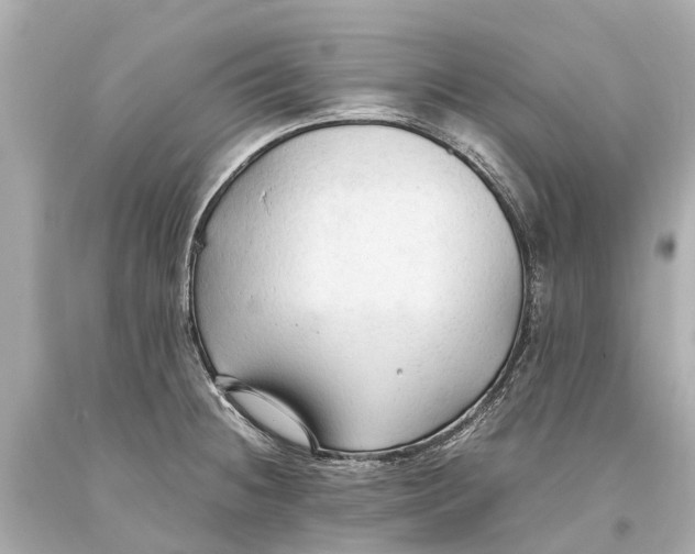 X0000093591236200711051131
