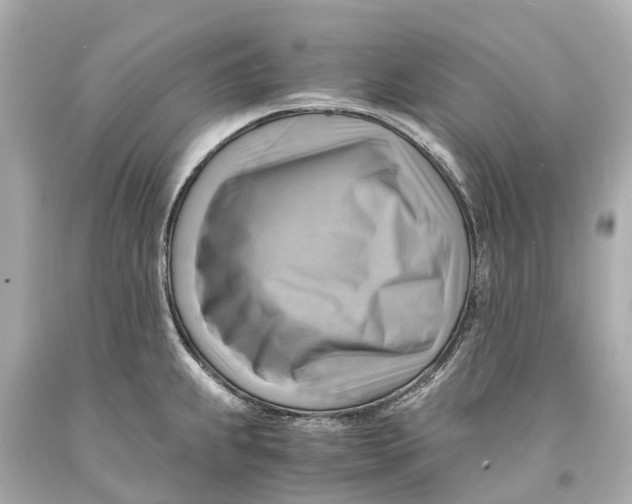 X0000093591239200711051132