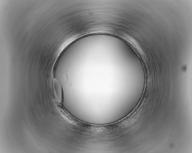 X0000093591242200711051132