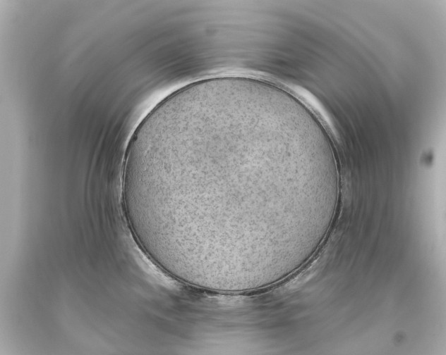 X0000093591244200711051132