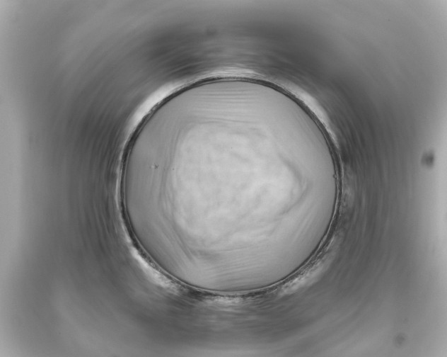 X0000093591245200711051132