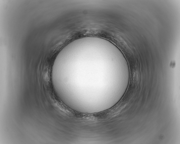X0000093591250200711051131