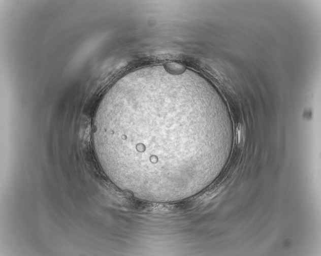X0000093591251200711051131