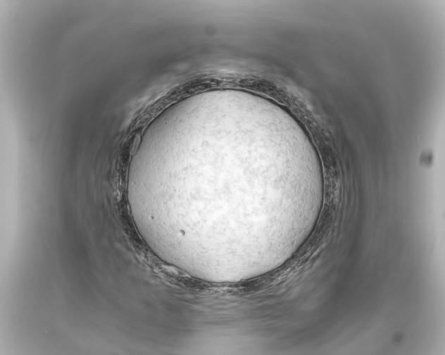 X0000093591253200711051131