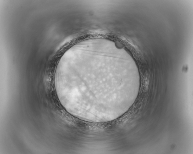 X0000093591254200711051131