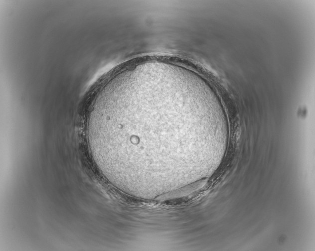 X0000093591255200711051131