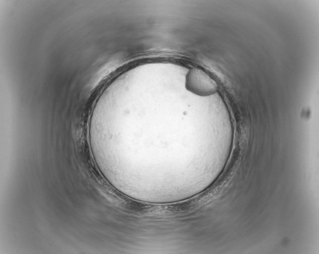 X0000093591259200711051131