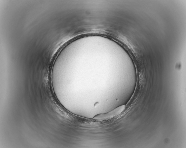 X0000093591260200711051131