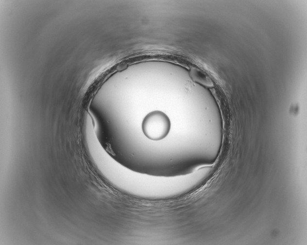 X0000093591261200711051131