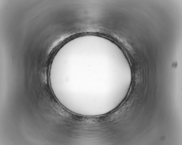 X0000093591262200711051131