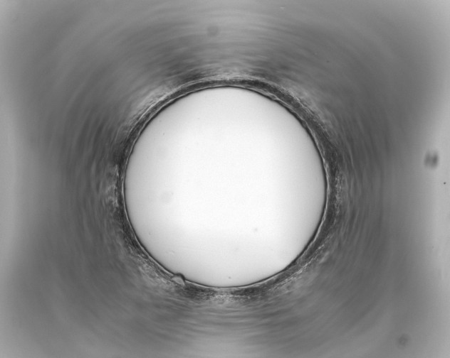 X0000093591265200711051131