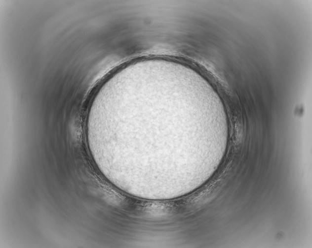 X0000093591266200711051131