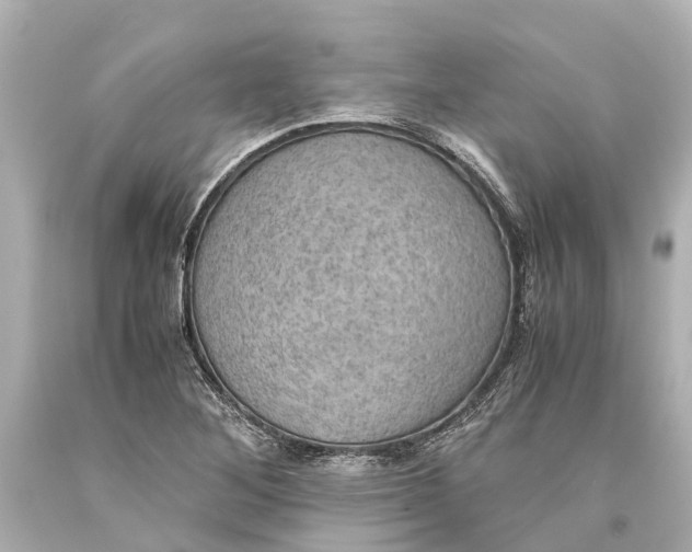X0000093591268200711051131
