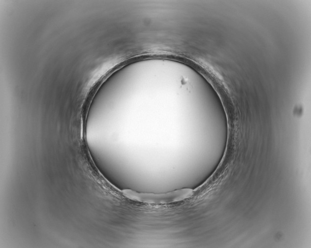 X0000093591269200711051131