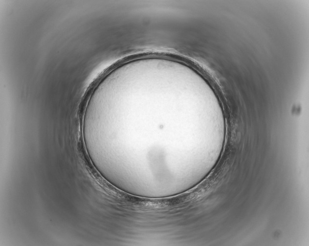 X0000093591271200711051131
