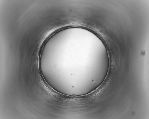 X0000093591272200711051131