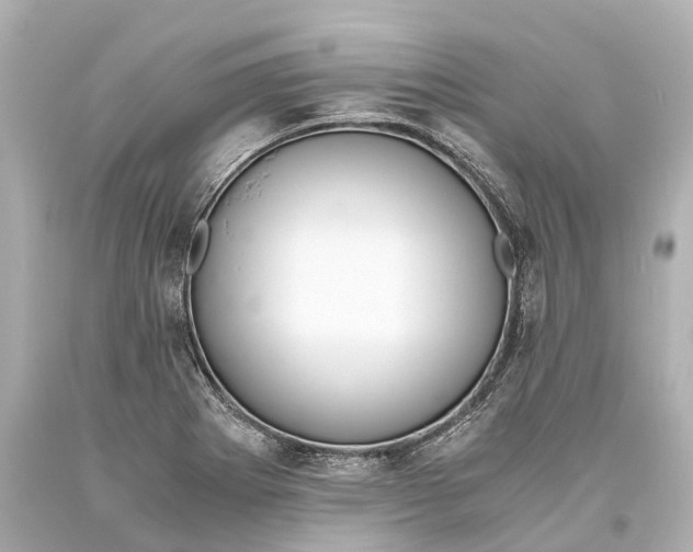 X0000093591273200711051131