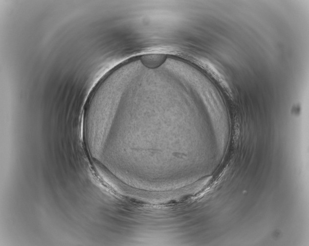 X0000093591276200711051131