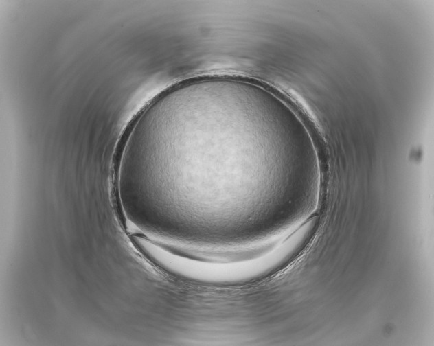 X0000093591277200711051131