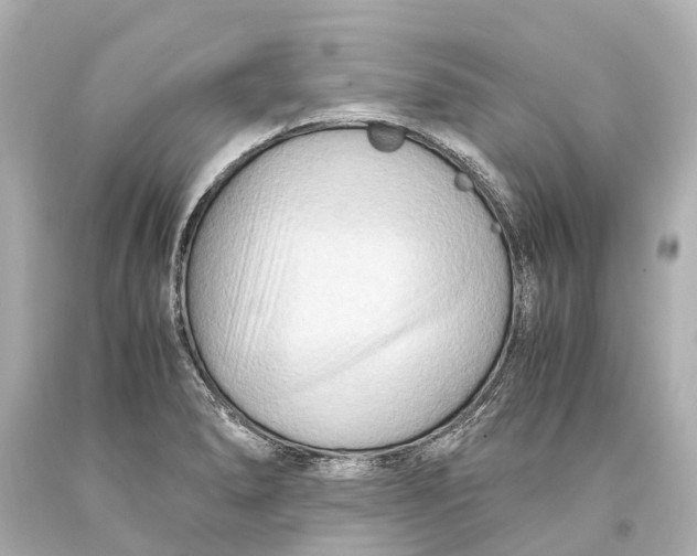 X0000093591278200711051130