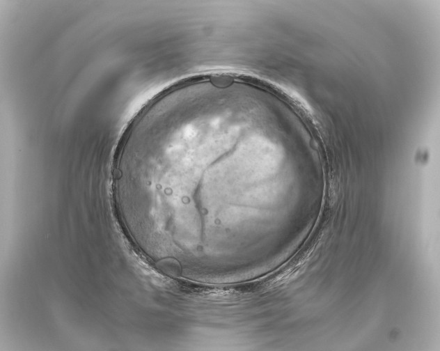 X0000093591279200711051130