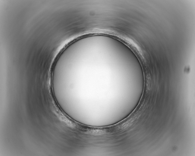 X0000093591280200711051130