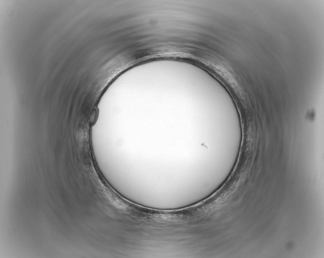 X0000093591281200711051130