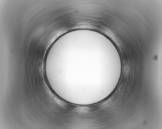 X0000093591282200711051130