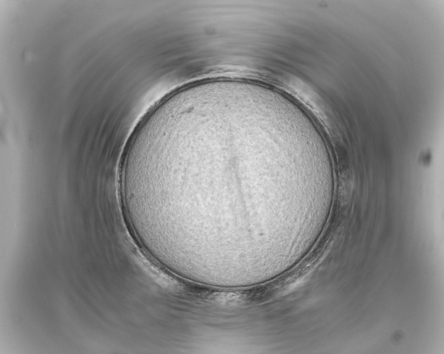 X0000093591283200711051130