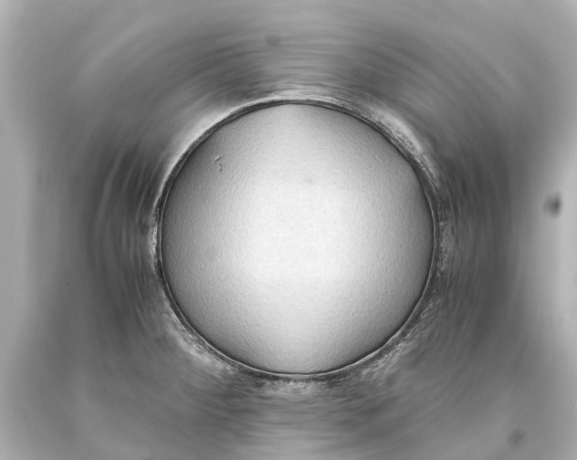 X0000093591284200711051130