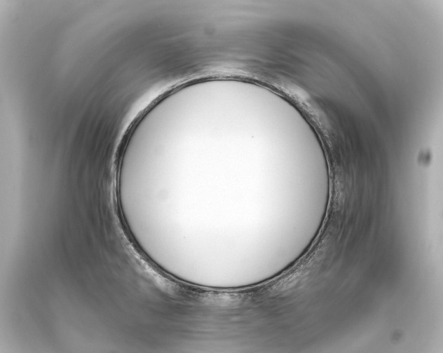 X0000093591286200711051130