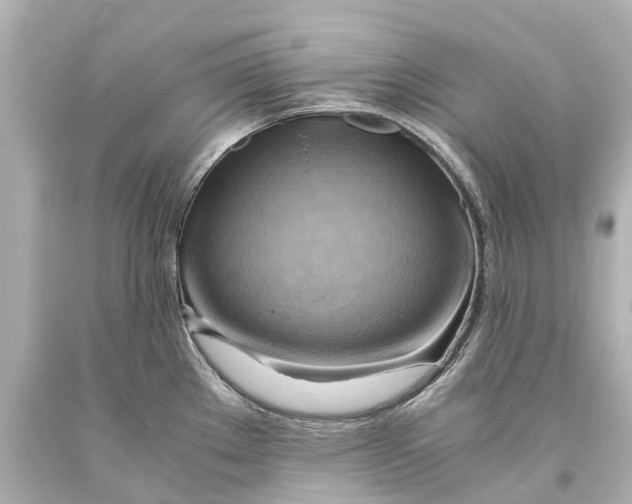 X0000093591289200711051130