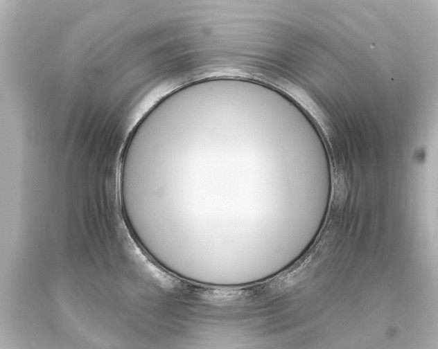 X0000093591290200711051130