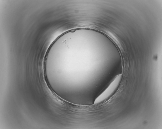 X0000093591291200711051130